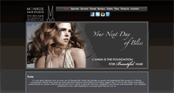 Desktop Screenshot of hairstudiosanmarcos.com